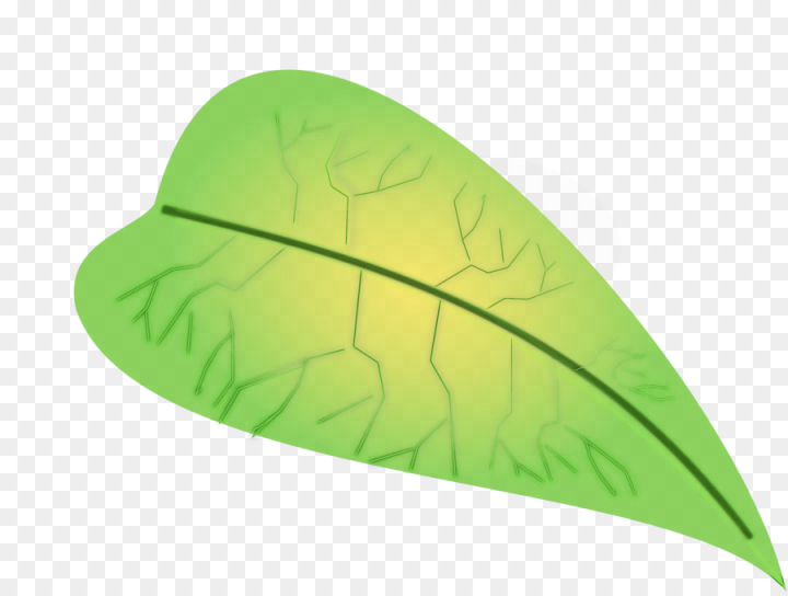 watercolor,paint,wet ink,leaf,green,plant,grass,logo,png