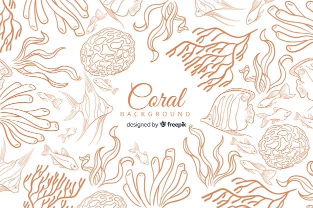 coral vector free download