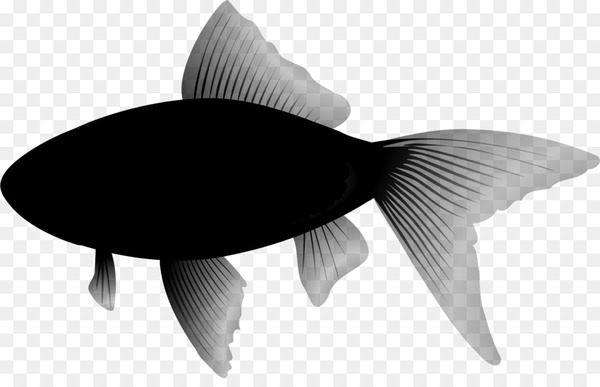 bluefish,fish,desktop wallpaper,fishing,decoupage,stock photography,fin,organism,tail,blackandwhite,png
