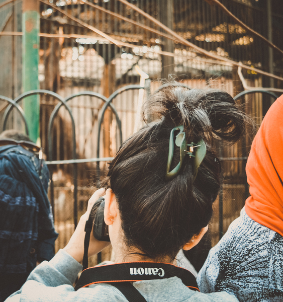 action,adult,cage,camera,canon,city,daylight,digital,dslr,education,female,girl,group,hair,hair style,hairstyle,hobby,outdoors,people,person,photographer,school,taking photo,urban,wear,woman,zoo,Free Stock Photo