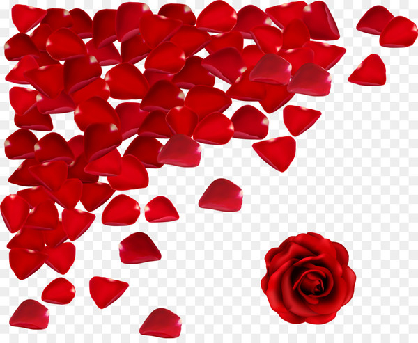 valentine s day,love,happiness,propose day,wish,romance,whatsapp,rose,sms,girlfriend,friendship,international kissing day,gift,saint valentine,heart,flower,garden roses,rose family,rose order,cut flowers,petal,red,flowering plant,png