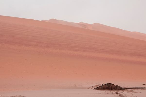 desert,sand,dune,background,cloud,rock,plant,green,leaf,sand,beach,dune,desert,ridge,nature,landscape,africa,namibia,creative commons images