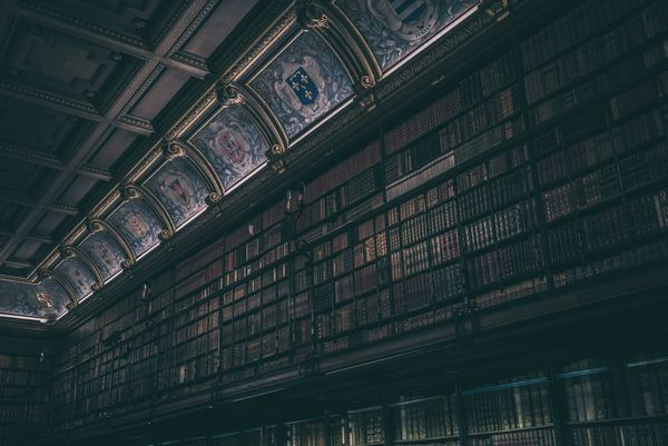 city,architecture,building,library,book,old,bylovtl,wood,tool,library,building interior,library interior,book,shelving,shelf,organization,dark tone,vintage,old book,dim,art,free pictures