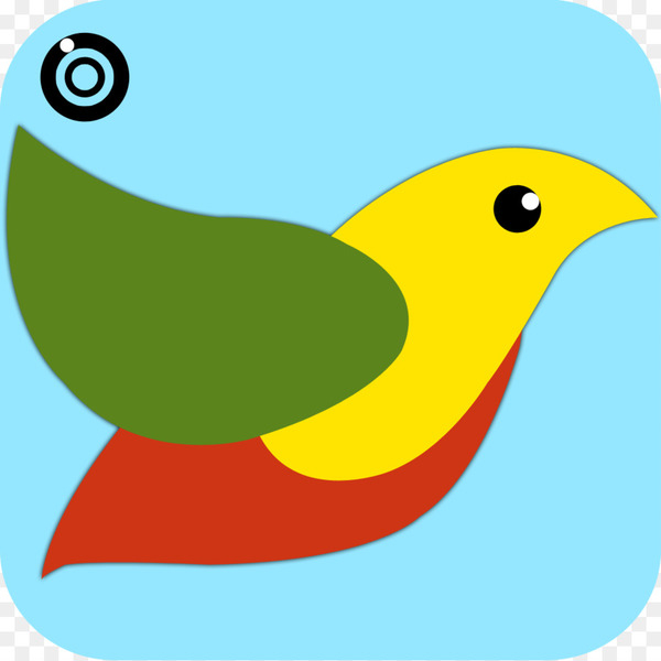swipe tap  game of gestures,android,photography,google play,email,whatsapp,message,plain text,area,wing,artwork,line,yellow,bird,green,beak,fauna,organism,png
