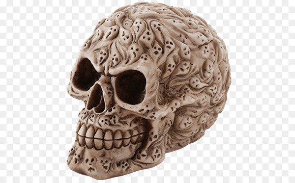 skull,calavera,skeleton,bone,human skull,halloween,human skeleton,skull art,carving,face,head,rib cage,spirit halloween,jaw,png