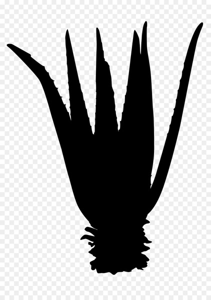 beak,finger,silhouette,feather,leaf,tree,black m,wing,claw,logo,blackandwhite,png