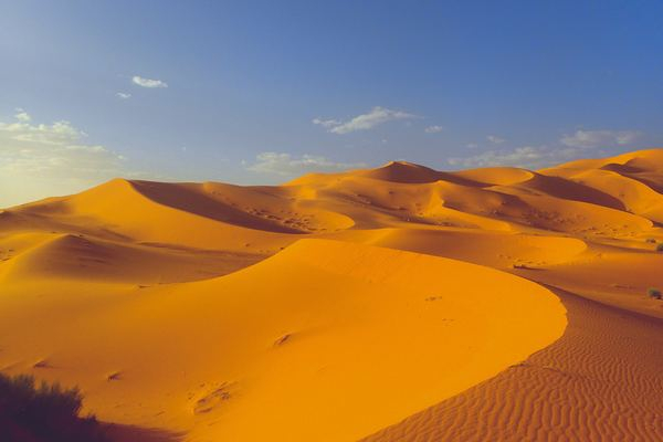 environment,star,forest,desert,sand,dune,green,man,blue,sand,desert,dune,dry,empty,free stock photos
