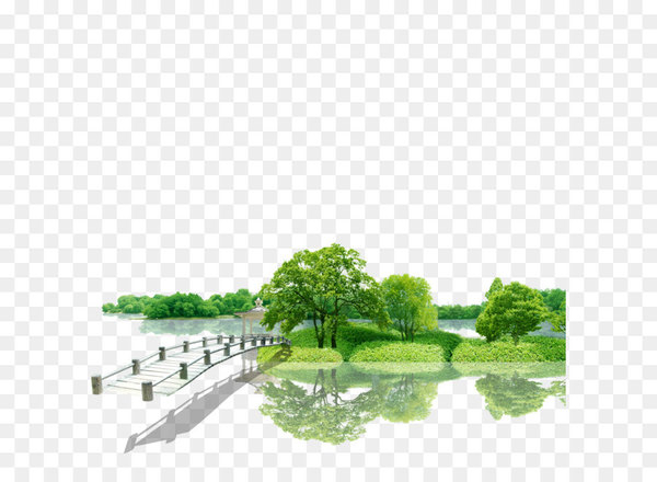 flower,tree,desktop wallpaper,green,download,natural environment,display resolution,environment,plant,leaf,pattern,urban design,line,grass,landscape,png