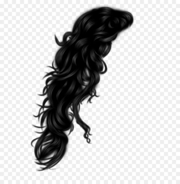 afrotextured hair,hair,afro,wig,hairstyle,black hair,lace wig,woman,artificial hair integrations,human hair color,long hair,black and white,hair coloring,brown hair,layered hair,png