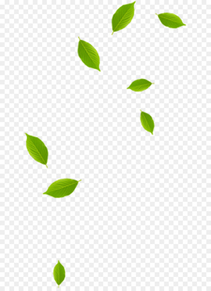 leaf,green,area,angle,flower,plant,yellow,line,grass,png