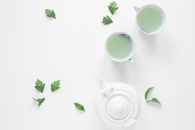 background,leaf,green,green background,health,space,leaves,white background,tea,white,backdrop,drink,desk,cup,breakfast,natural,healthy,nature background,background green,studio