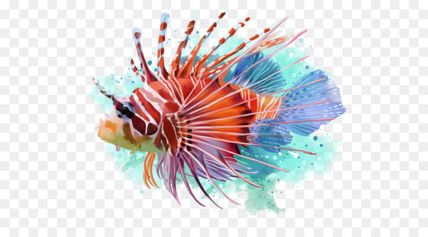 painting,watercolor painting,drawing,royaltyfree,digital painting,deviantart,art,lionfish,fish,marine biology,organism,scorpionfish,tail,png