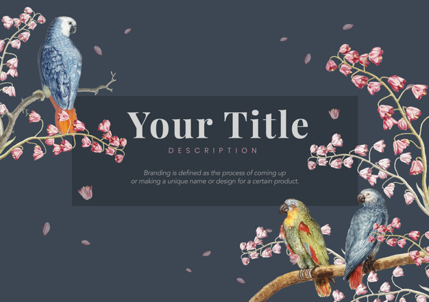 perched,ornithology,avian,beak,parrots,domestic,tail,wildlife,wild,cute frame,forest background,decor,portrait,antique,background color,beautiful,feathers,parrot,background poster,blossom,cute animals,background vintage,cherry,african,branch,background frame,cute background,background blue,cherry blossom,drawing,pet,decoration,colorful background,wings,feather,colorful,cute,forest,retro,beauty,animal,bird,blue,nature,border,blue background,tree,vintage,mockup,poster,frame,background