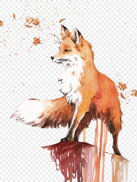 fox,animals,animal,png,wildlife,red fox