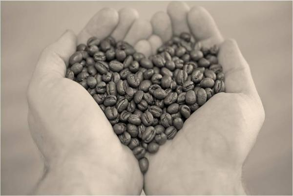 coffee,beans,heart,hands,hold