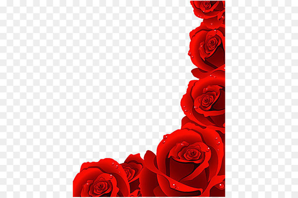 rose,fotosearch,flower,royaltyfree,encapsulated postscript,heart,love,garden roses,rose family,rose order,floral design,computer wallpaper,cut flowers,petal,flower arranging,valentine s day,floristry,red,flowering plant,png
