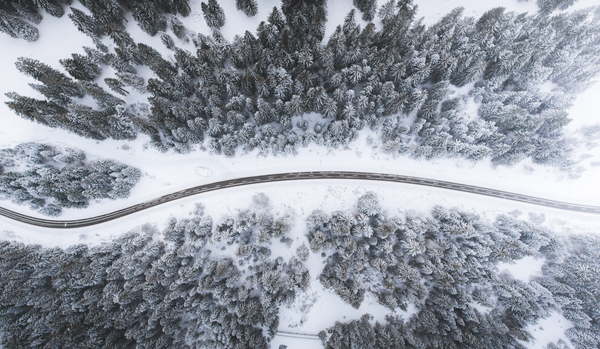 aerial,view,aerial view,winter,forest,pathway,beautiful,road,pavement,pave,drive,stretch,tree,trees,free photos