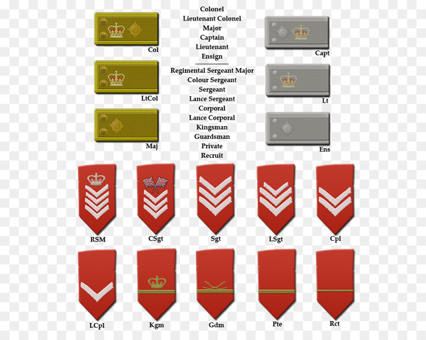 napoleonic wars,military rank,british army officer rank insignia,military,soldier,army,army officer,british army,lieutenant,sergeant,major,uniforms of the british army,british armed forces,text,brand,logo,line,png