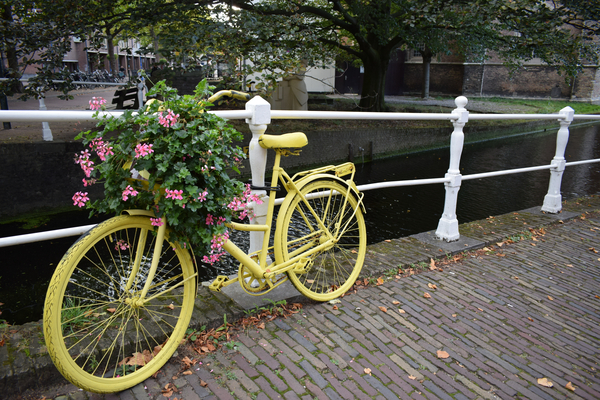 cc0,c1,channel,boats,holland,amsterdam,channels,water,europe,bicycles,city,bridges,capital,yellow,flowers,free photos,royalty free