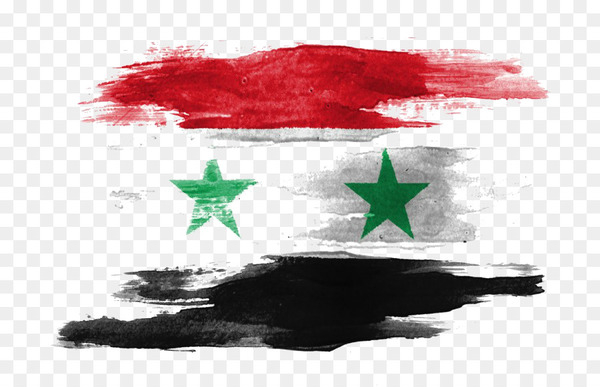 flag of norway,flag,norway,flag of the united arab emirates,flag of haiti,flag of kuwait,flag of iran,flag of denmark,flag of syria,flag of hungary,tattoo,drawing,png