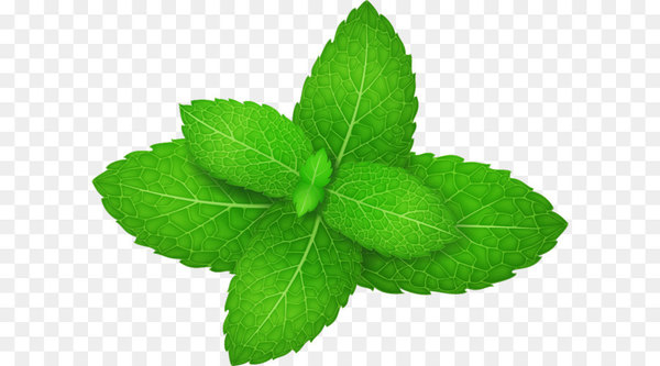 mentha spicata,peppermint,leaf,menthol,herb,stock photography,peppermint tea,computer icons,mint,plant,herbalism,png
