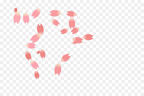 national cherry blossom festival,petal,cherry blossom,cerasus,cherry,flower,pink,blossom,rose,encapsulated postscript,resource,heart,square,symmetry,point,valentine s day,circle,rectangle,white,line,red,png