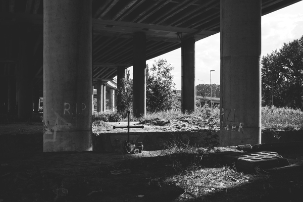 architecture,infrastructures,bridge,expressways,posts,beams,trees,black and white,lines,patterns,perspective
