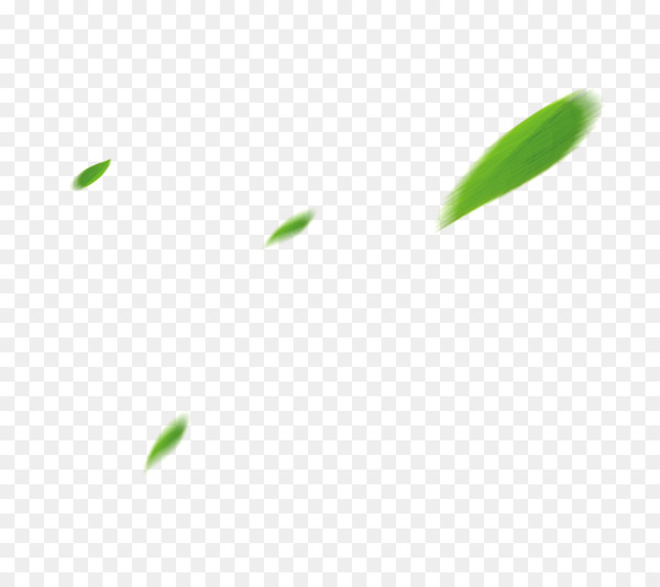leaf,angle,grass,point,square,green,line,png
