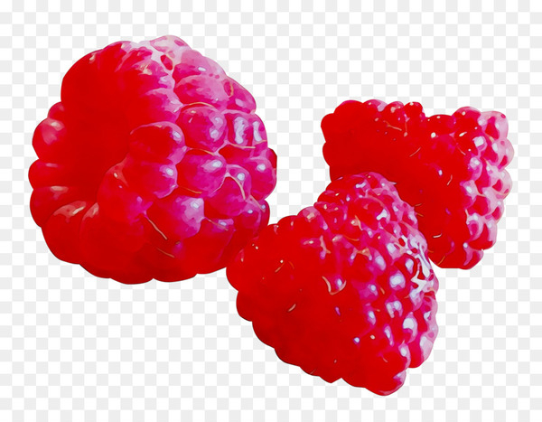 raspberry,boysenberry,strawberry,tayberry,fruit,berries,accessory fruit,blackberry,food,natural foods,superfood,berry,rubus,frutti di bosco,loganberry,plant,west indian raspberry,seedless fruit,superfruit,magenta,png