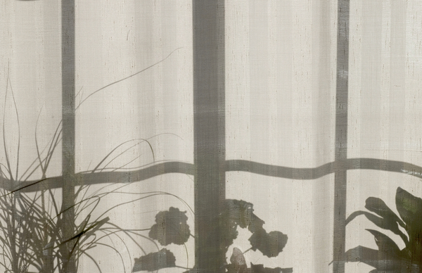 house,home,plants,curtain,window,shadow
