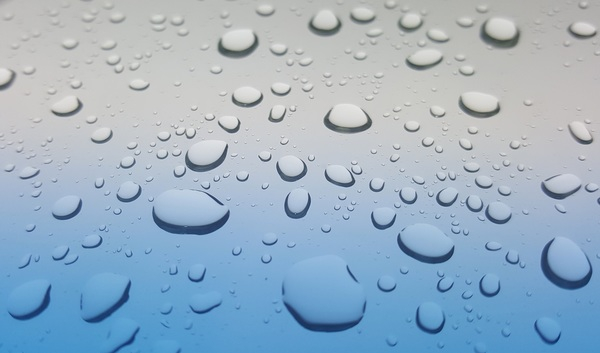 bubble,clear,dew,droplets,drops of water,glass,gray,grey,liquid,pure,purity,rain,rain drops,raindrops,splash,water,waterdrops,weather,wet,Free Stock Photo