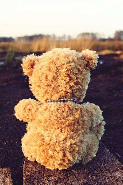 cc0,c1,teddy,teddy bear,bear,soft toy,bears,stuffed animal,sweet,cute,snuggle,fun,toys,cuddly,soft,children toys,fur,brown,play,purry,light brown,fluffy,nature,wood,moor,lookout,back,move,rear,silent,web,idyllic,autumn,landscape,mood,nature reserve,marsh,quagmire,free photos,royalty free