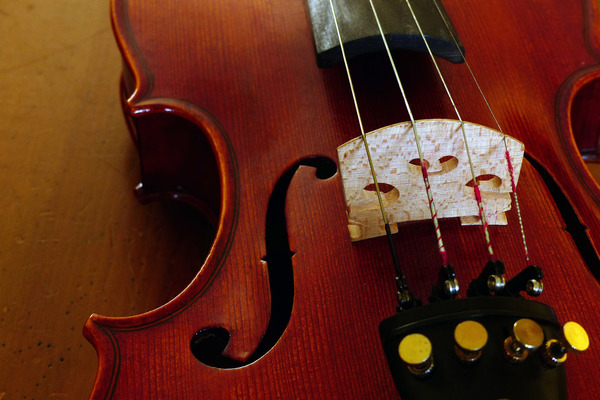 violin images,violin case,hard violin case,violin,fiddle,picture of a fiddle,string instruments,beginner violin,student violin,how many strings does a typical fiddle have,what is a violin,violin humidifier,strings
