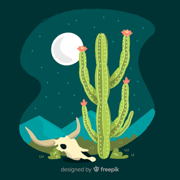 spiky,cacti,houseplant,botany,vegetal,thorn,exotic,dry,flowerpot,succulent,wild,drawn,tropical flowers,tropical background,botanical,background green,desert,background flower,ornamental,decorative,nature background,mexican,cactus,floral ornaments,illustration,natural,night,flower background,decoration,plant,tropical,garden,skull,hand drawn,green background,nature,floral background,green,hand,floral,flower,background