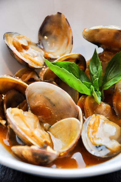 clams,close up,seafood