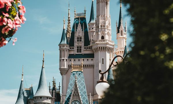 fantasy,pink,light,flower,pink,wallpaper,drone,drone view,forest,building,sky,tower,castle,architecture,fairy tale,disney,tree,outdoors,disneyland,vacation,holiday,free stock photos