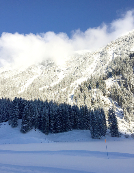 cc0,c1,mountains,trees,panorama,snow landscape,alpine,hike,landscape,allgäu,snow,sky,free photos,royalty free