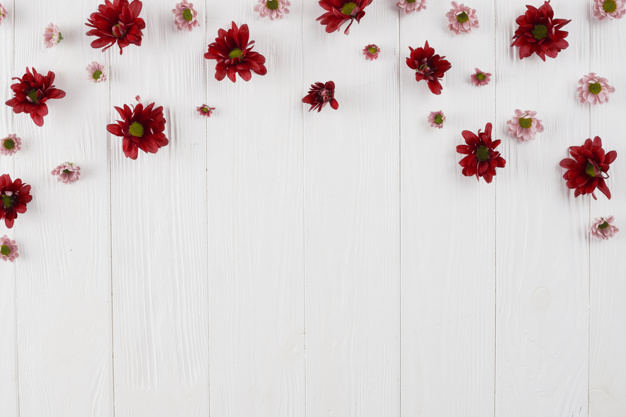 Free: Flowers background copy space 