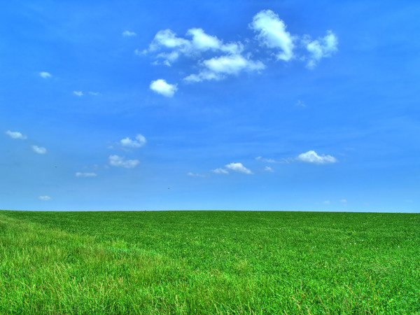 grass,pasture,field,sky,horizon,enhanced