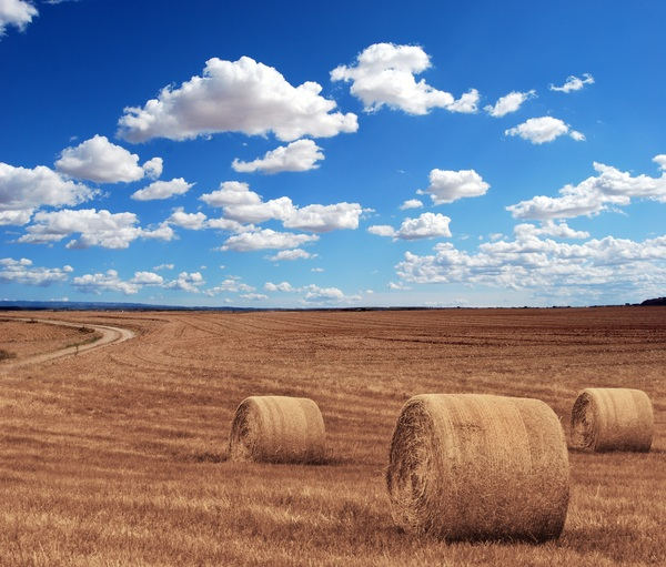 farm,field,hay,agriculture,grass,blue,sky,clouds,sunshine,summer,landscape,nature,countryside