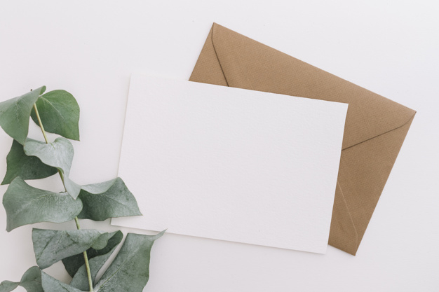 background,card,summer,leaf,paper,green,nature,green background,spring,leaves,white background,tropical,envelope,white,plant,environment,nature background,growth,brown,background green