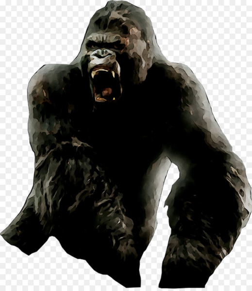 western gorilla,common chimpanzee,snout,gorilla,pan,primate,western lowland gorilla,fictional character,png