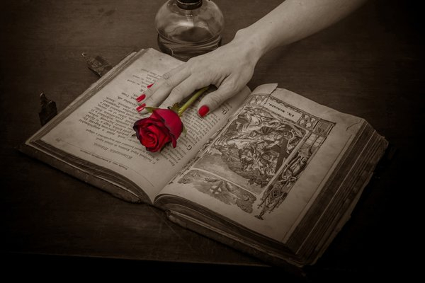 book,rose