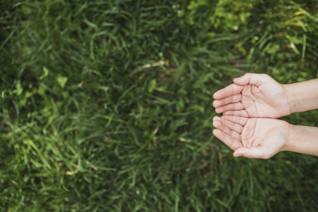 hand,green,nature,hands,earth,grass,social,eco,recycle,organic,natural,environment,ecology,support,community,development,ground,eco friendly,concept,sharing