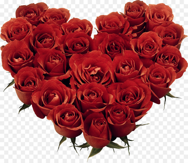 valentine s day,february 14,gift,holiday,romance,love,wedding,intimate relationship,floristry,couple,lupercalia,significant other,flower bouquet,dinner,petal,heart,flower,garden roses,rose family,rose,rose order,floral design,artificial flower,floribunda,cut flowers,flower arranging,flowering plant,png