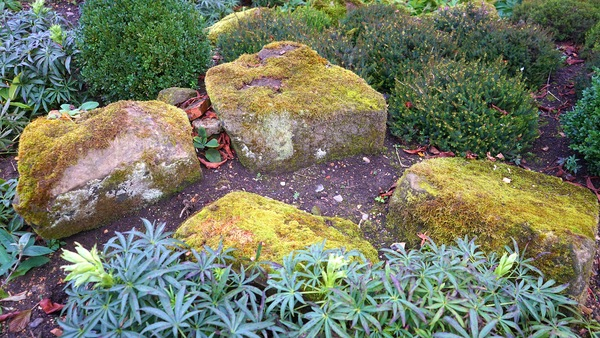 stones,shrubs,rocks,plants,outdoor,nature,moss,leaves,landscaping,landscape,green,garden,daylight,colorful