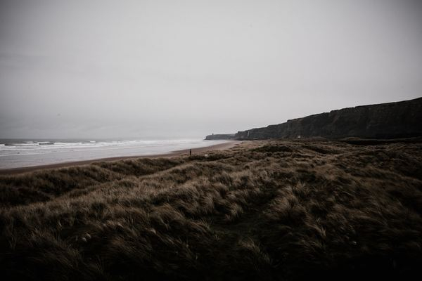 beach,sea,wafe,fog,cloud,mist,inspiration,medieval,forest,field,coast,wind,brown,tan,grey,cloudy,grass,mountain,pine,explorer,portrait,creative commons images