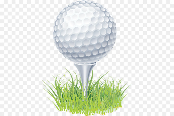 golf balls,golf,golf clubs,ball,golf course,volleyball,game,tennis balls,ping,putter,golf tees,football,golf ball,golf equipment,grass,png