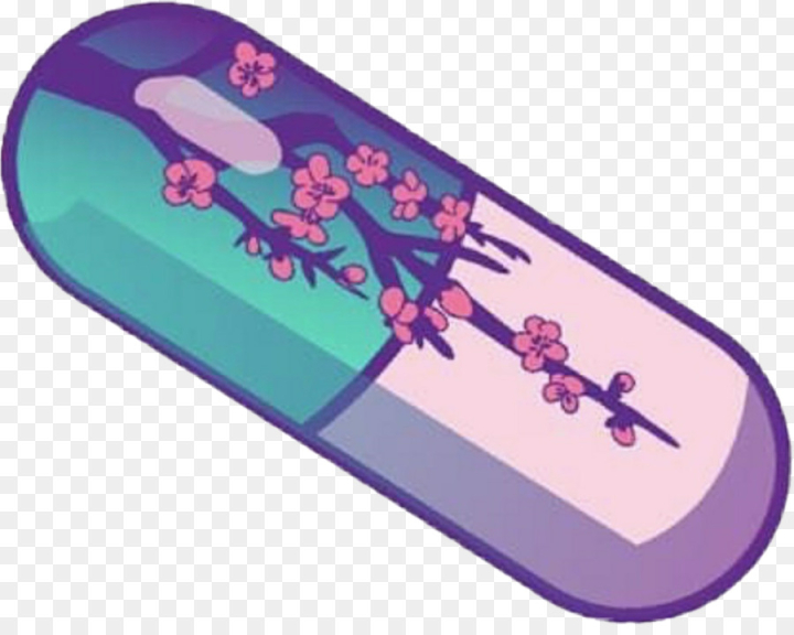 purple,snowboard,flower,cherry blossom,png
