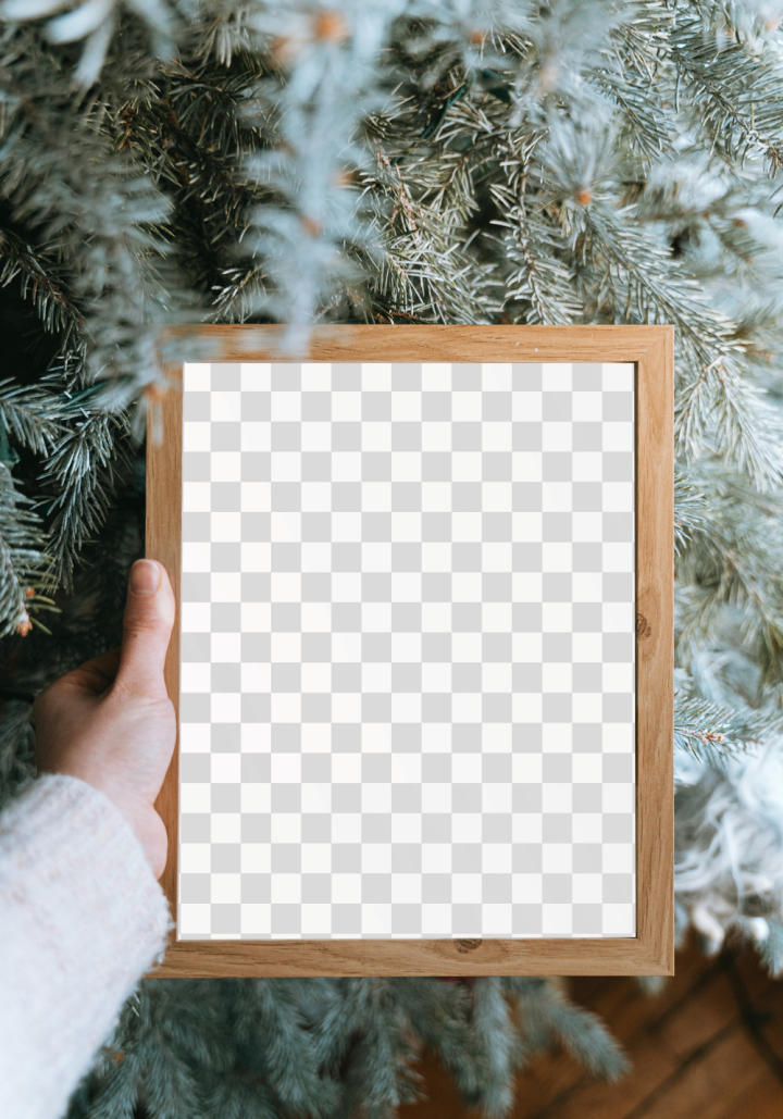 frame,png,christmas,picture frame,hand,tree